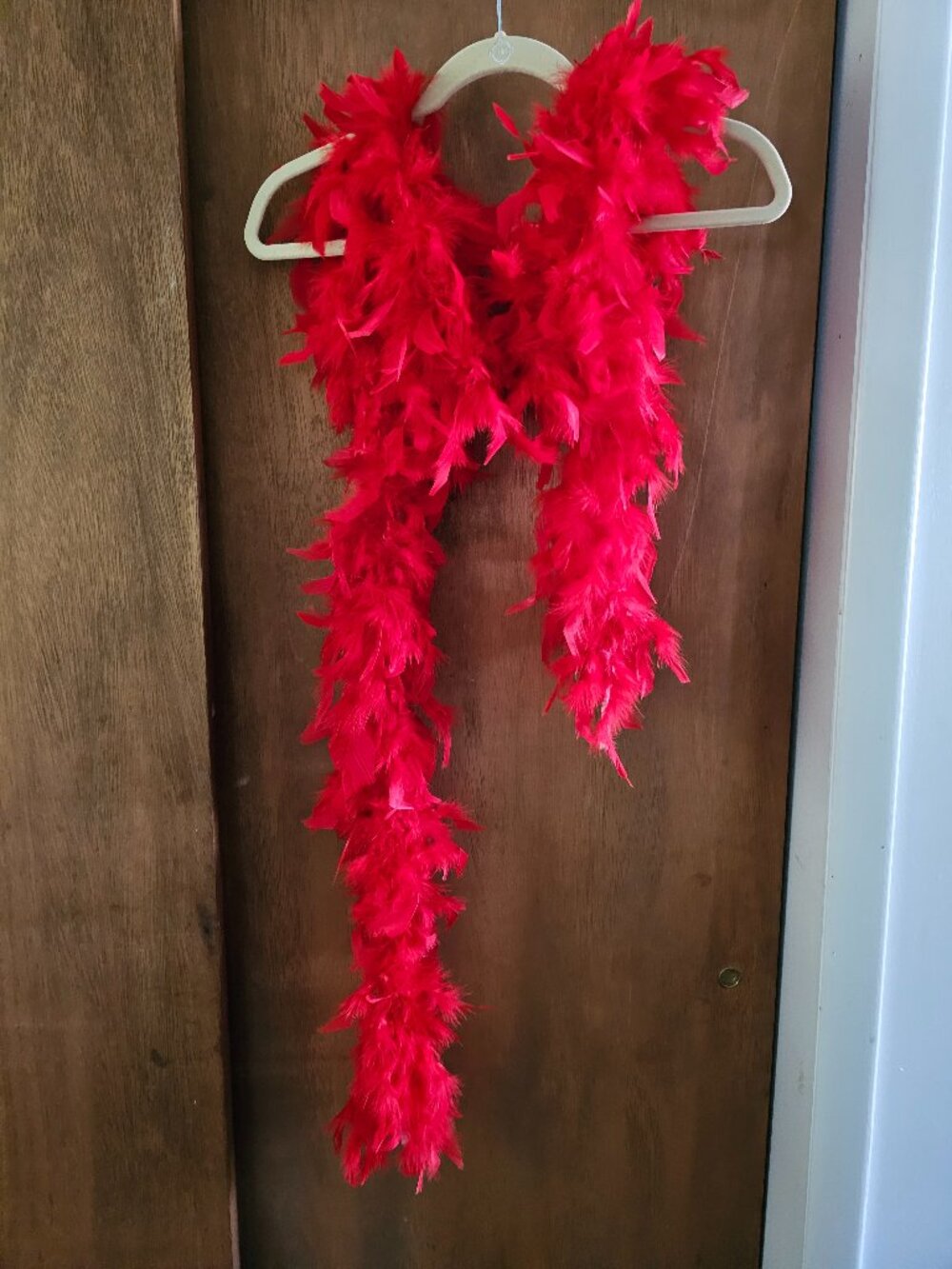 Red feather boa Accessory for Halloween, Dance or fun  with red and black garder